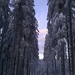 Waldpension Harzer Waldwinkel Konukevi Bad Grund