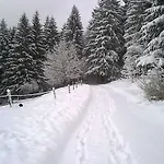 Waldpension Harzer Waldwinkel Konukevi