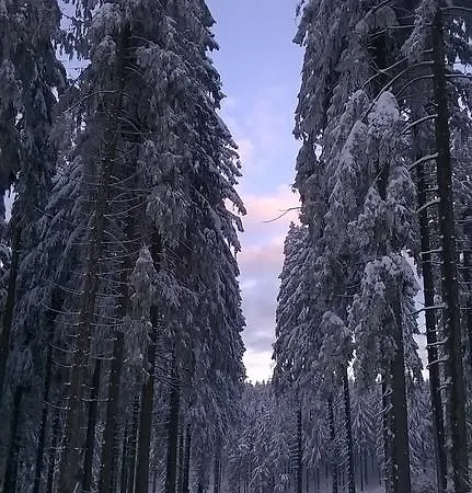 Waldpension Harzer Waldwinkel 招待所 巴特格伦德