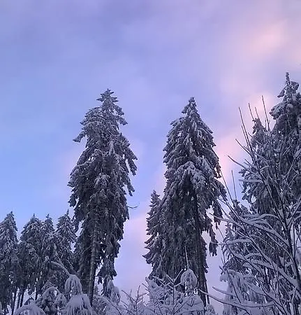 Waldpension Harzer Waldwinkel Bad Grund