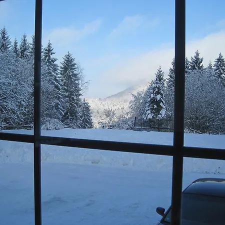 Pensión Waldpension Harzer Waldwinkel 3*