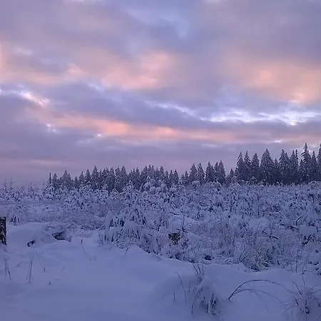 Waldpension Harzer Waldwinkel Bad Grund