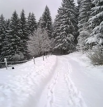 Waldpension Harzer Waldwinkel Pensión