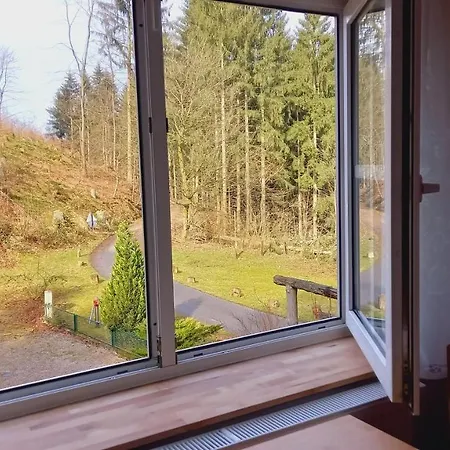 Gasthof Waldpension Harzer Waldwinkel 3*