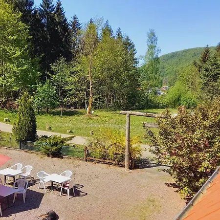 Waldpension Harzer Waldwinkel Bad Grund