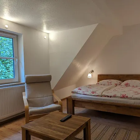 Waldpension Harzer Waldwinkel 2* 巴特格伦德